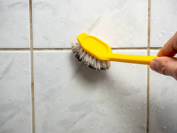 Best Same-Day Mold Removal  in San Tan Valley, AZ