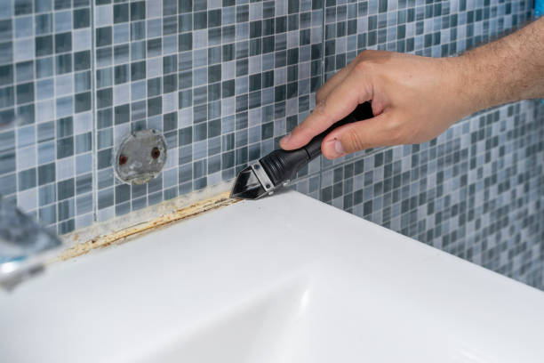 Best Attic Mold Removal  in San Tan Valley, AZ